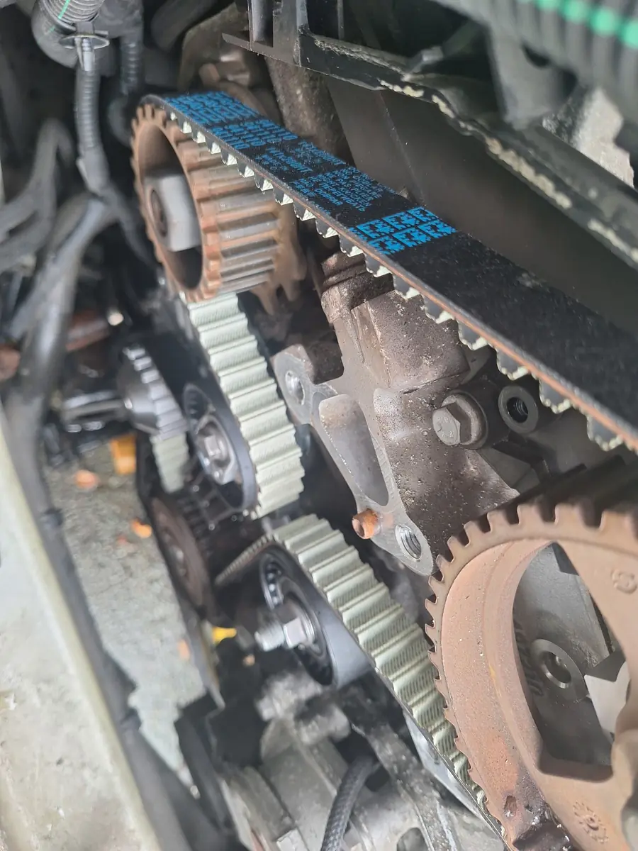 A new belt in place on the sprockets, with its printed markings visible