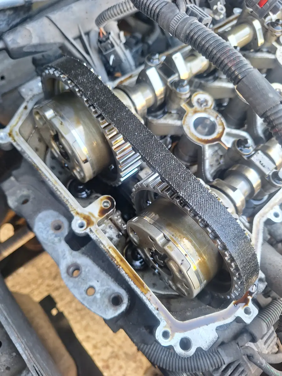 A belt running inside the engine, sitting in oil, on its camshaft sprockets
